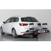 Portaesquis de bola TowCar Aneto