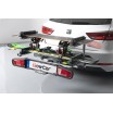 Portaesquis de bola TowCar Aneto