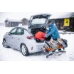 Portaesquis de bola TowCar Aneto