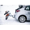 Portaesquis de bola TowCar Aneto